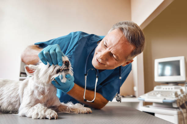 Best Weekend Emergency Dentist in Ridgecrest, FL